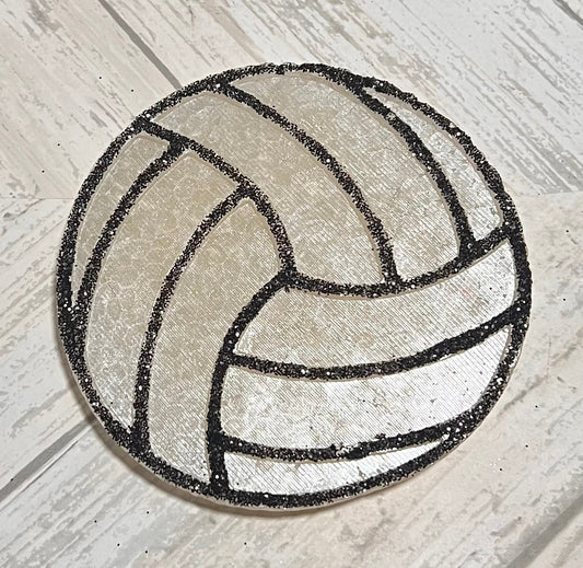 RTS Volleyball Freshie